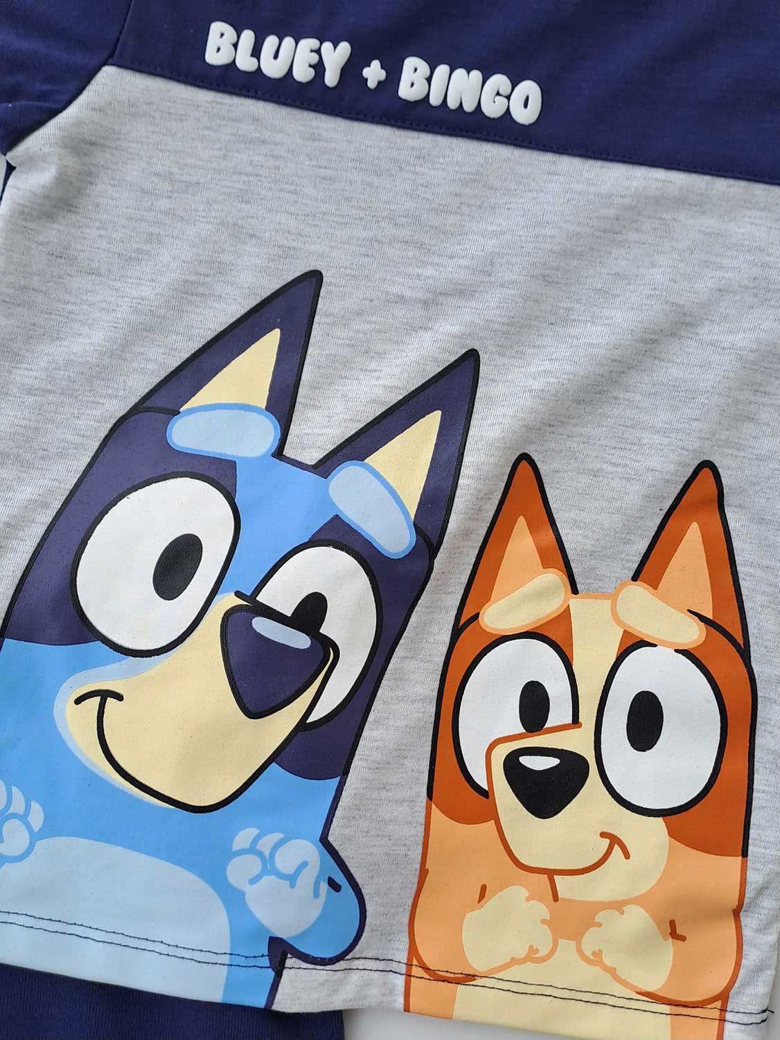 Bluey conjunto 2 piezas jogger y camiseta azul gris - Talla 24 meses