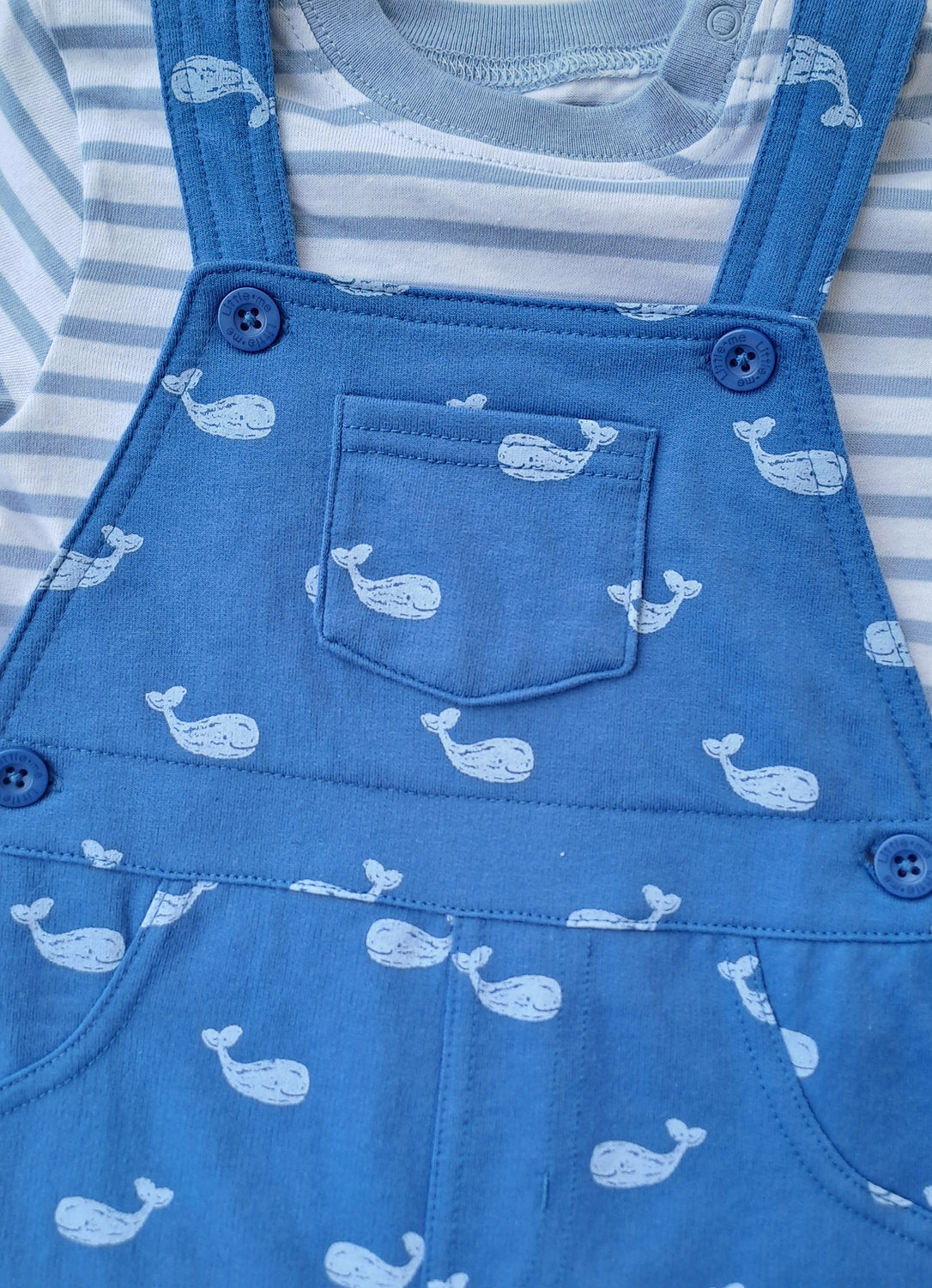 Little Lad overall azul ballena y camiseta rayas - Talla 24 meses
