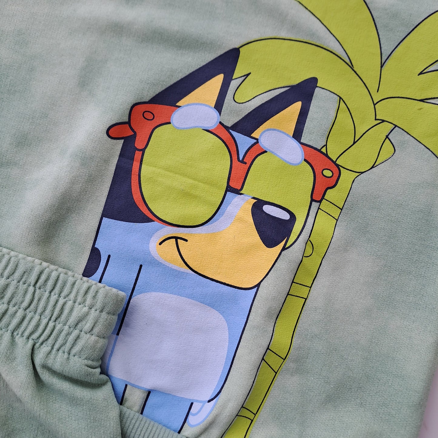 Bluey conjunto 2 piezas short y hoodie verde - Talla 3T
